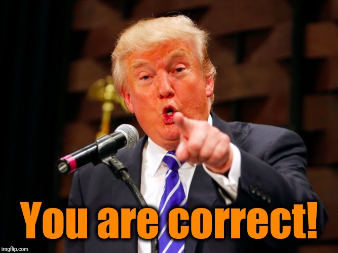trump point | You are correct! | image tagged in trump point | made w/ Imgflip meme maker