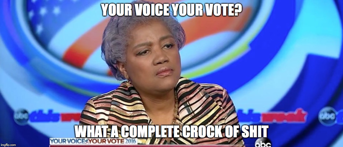 YOUR VOICE YOUR VOTE? WHAT A COMPLETE CROCK OF SHIT | image tagged in donna brazile nude | made w/ Imgflip meme maker