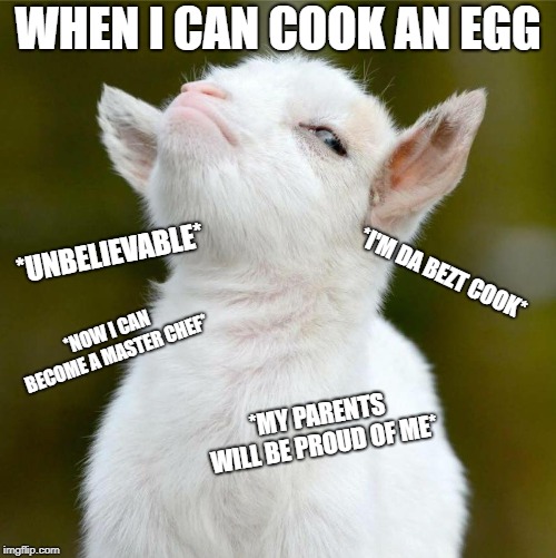 aMazInG | WHEN I CAN COOK AN EGG; *UNBELIEVABLE*; *I'M DA BEZT COOK*; *NOW I CAN BECOME A MASTER CHEF*; *MY PARENTS WILL BE PROUD OF ME* | image tagged in childish-proud-goat,memes,cooking | made w/ Imgflip meme maker