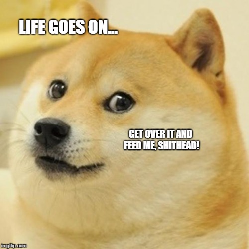Doge Meme | LIFE GOES ON... GET OVER IT AND FEED ME, SHITHEAD! | image tagged in memes,doge | made w/ Imgflip meme maker