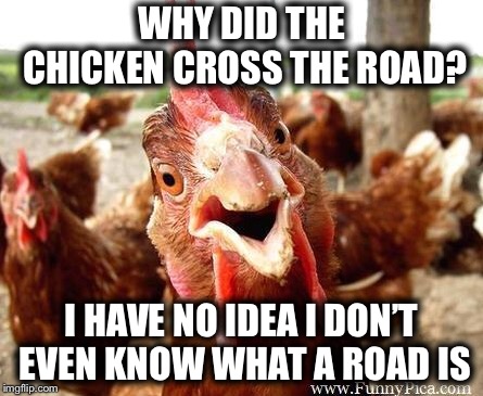 Chicken | WHY DID THE CHICKEN CROSS THE ROAD? I HAVE NO IDEA I DON’T EVEN KNOW WHAT A ROAD IS | image tagged in chicken | made w/ Imgflip meme maker