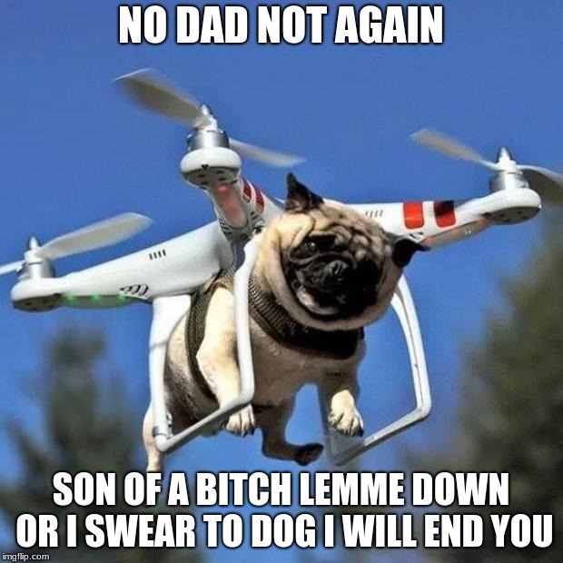 Flying Pug | NO DAD NOT AGAIN; SON OF A BITCH LEMME DOWN OR I SWEAR TO DOG I WILL END YOU | image tagged in flying pug | made w/ Imgflip meme maker
