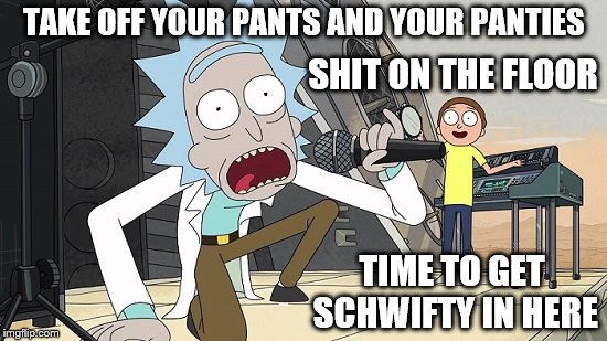 MR. BULL DOPS | TAKE OFF YOUR PANTS AND YOUR PANTIES; SHIT ON THE FLOOR; TIME TO GET SCHWIFTY IN HERE | image tagged in rick and morty,get schwifty,shit on the floor | made w/ Imgflip meme maker