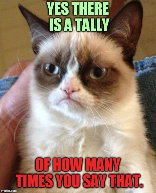 Grumpy Cat Meme | YES THERE IS A TALLY OF HOW MANY TIMES YOU SAY THAT. | image tagged in memes,grumpy cat | made w/ Imgflip meme maker
