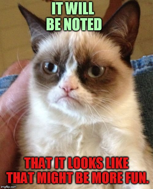 Grumpy Cat Meme | IT WILL BE NOTED THAT IT LOOKS LIKE THAT MIGHT BE MORE FUN. | image tagged in memes,grumpy cat | made w/ Imgflip meme maker