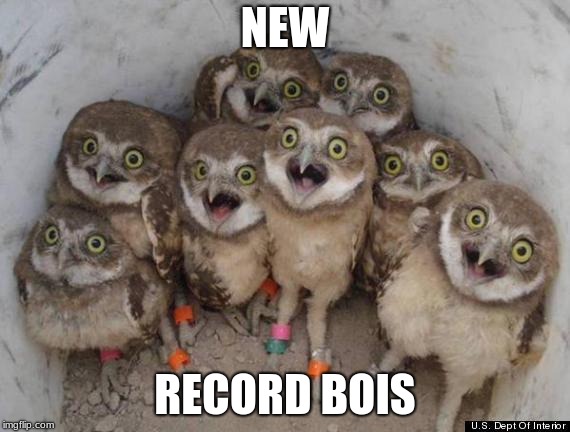 Amazed Owls | NEW RECORD BOIS | image tagged in amazed owls | made w/ Imgflip meme maker