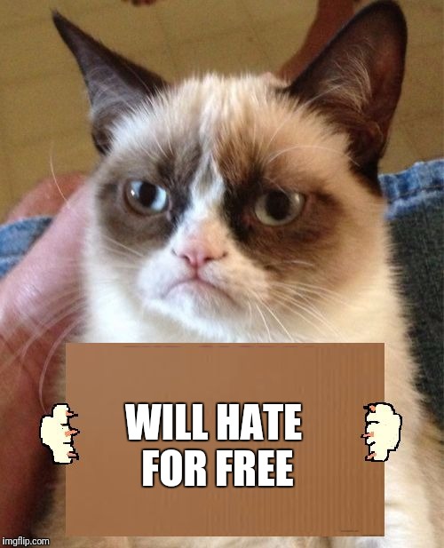 Grumpy Cat Cardboard Sign | WILL HATE FOR FREE | image tagged in grumpy cat cardboard sign | made w/ Imgflip meme maker