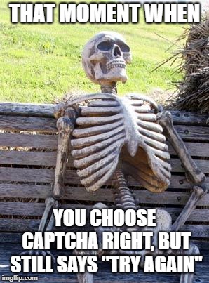 Waiting Skeleton Meme | THAT MOMENT WHEN; YOU CHOOSE CAPTCHA RIGHT, BUT STILL SAYS "TRY AGAIN" | image tagged in memes,waiting skeleton | made w/ Imgflip meme maker