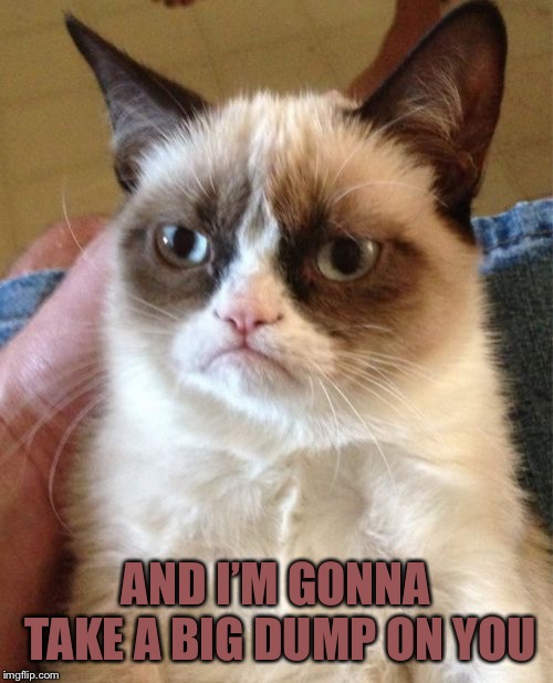 Grumpy Cat Meme | AND I’M GONNA TAKE A BIG DUMP ON YOU | image tagged in memes,grumpy cat | made w/ Imgflip meme maker