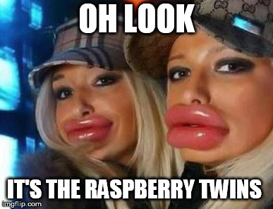 Duck Face Chicks |  OH LOOK; IT'S THE RASPBERRY TWINS | image tagged in memes,duck face chicks | made w/ Imgflip meme maker