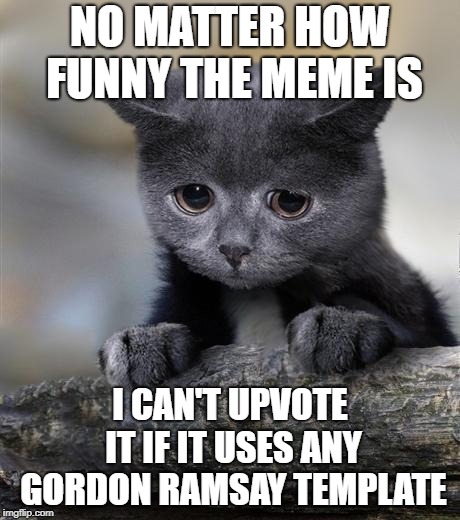 Confession Cat | NO MATTER HOW FUNNY THE MEME IS; I CAN'T UPVOTE IT IF IT USES ANY GORDON RAMSAY TEMPLATE | image tagged in confession cat | made w/ Imgflip meme maker