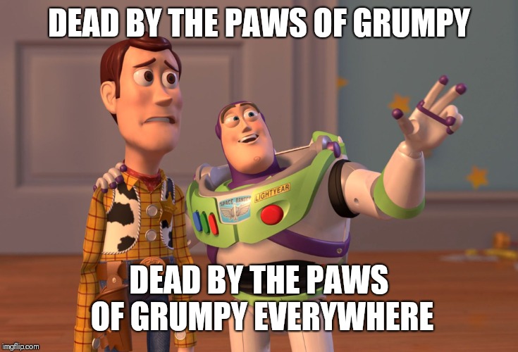 X, X Everywhere Meme | DEAD BY THE PAWS OF GRUMPY DEAD BY THE PAWS OF GRUMPY EVERYWHERE | image tagged in memes,x x everywhere | made w/ Imgflip meme maker
