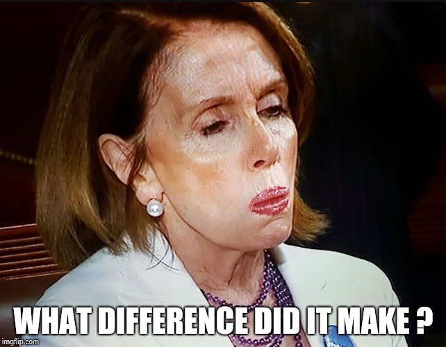 Nancy Pelosi PB Sandwich | WHAT DIFFERENCE DID IT MAKE ? | image tagged in nancy pelosi pb sandwich | made w/ Imgflip meme maker