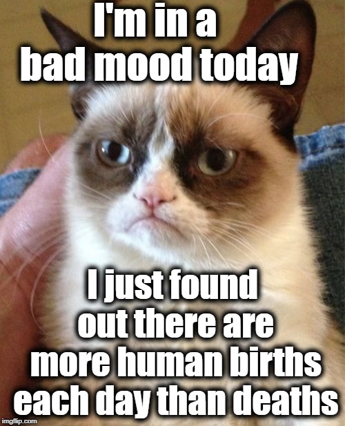 Grumpy Cat Weekend - A Craziness_all_the_way and Socrates event | I'm in a bad mood today; I just found out there are more human births each day than deaths | image tagged in memes,grumpy cat | made w/ Imgflip meme maker