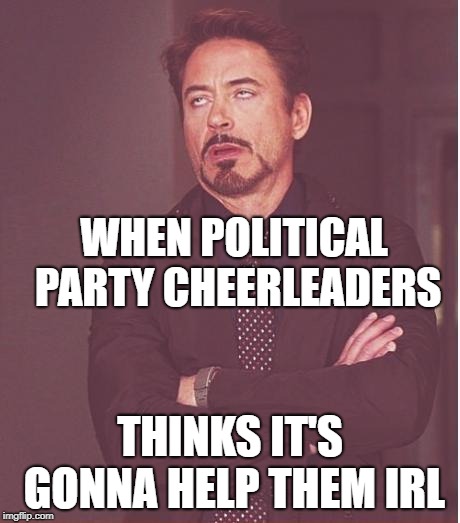 Face You Make Robert Downey Jr Meme | WHEN POLITICAL PARTY CHEERLEADERS; THINKS IT'S GONNA HELP THEM IRL | image tagged in memes,face you make robert downey jr | made w/ Imgflip meme maker