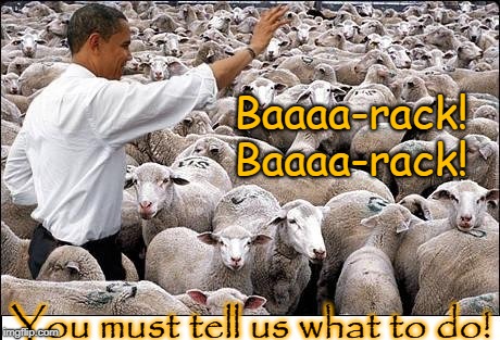 Baaaa-rack!   Tell us what to do. | Baaaa-rack!  Baaaa-rack! You must tell us what to do! | image tagged in sheep,obama,liberals | made w/ Imgflip meme maker