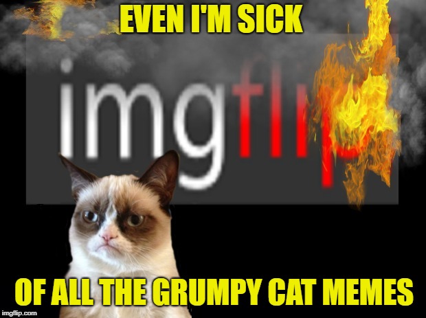 Sick of herself/GRUMPY CAT WEEKEND!!! - A socrates and Craziness_all_the_way event. Oct 5th-8th | EVEN I'M SICK; OF ALL THE GRUMPY CAT MEMES | image tagged in funny memes,grumpy cat,grumpy cat weekend,just kidding,imgflip,disaster | made w/ Imgflip meme maker