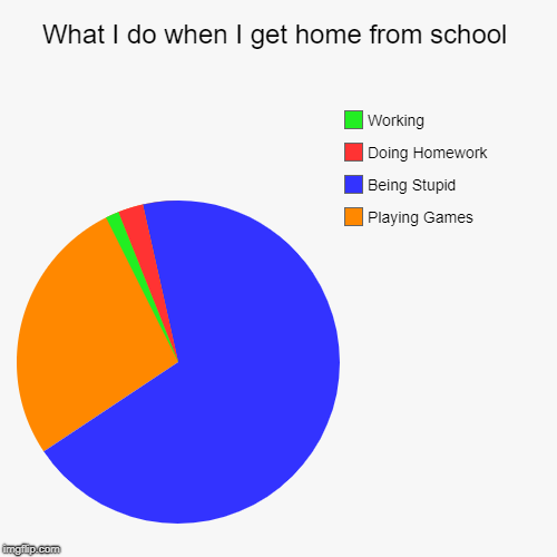 What I do when I get home from school | Playing Games, Being Stupid, Doing Homework, Working | image tagged in funny,pie charts | made w/ Imgflip chart maker