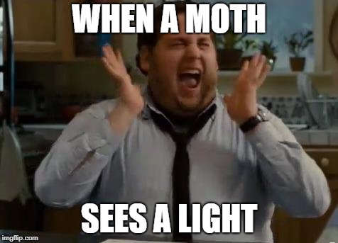 excited | WHEN A MOTH; SEES A LIGHT | image tagged in excited | made w/ Imgflip meme maker