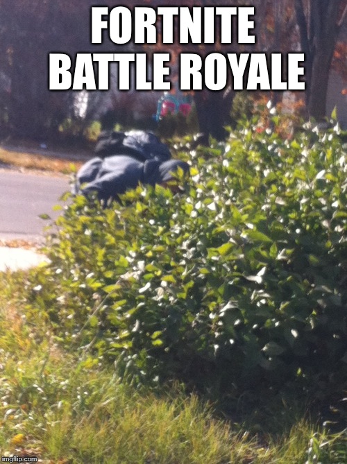 True | FORTNITE BATTLE ROYALE | image tagged in fortnite,in real life,bush,oh wow are you actually reading these tags,stop reading the tags | made w/ Imgflip meme maker
