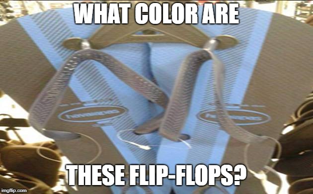 WHAT COLOR ARE; THESE FLIP-FLOPS? | image tagged in the dress | made w/ Imgflip meme maker