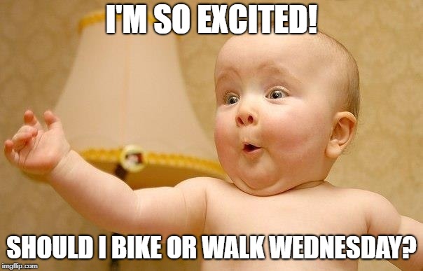 Excited baby face | I'M SO EXCITED! SHOULD I BIKE OR WALK WEDNESDAY? | image tagged in excited baby face | made w/ Imgflip meme maker