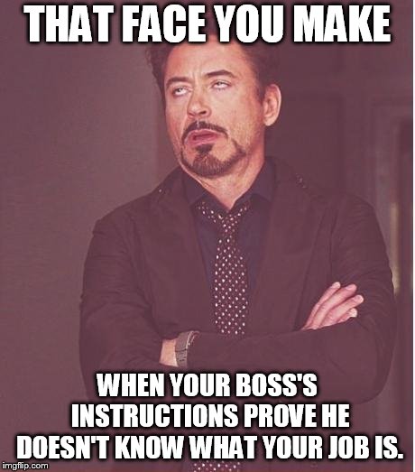 Face You Make Robert Downey Jr Meme | THAT FACE YOU MAKE; WHEN YOUR BOSS'S INSTRUCTIONS PROVE HE DOESN'T KNOW WHAT YOUR JOB IS. | image tagged in memes,face you make robert downey jr | made w/ Imgflip meme maker