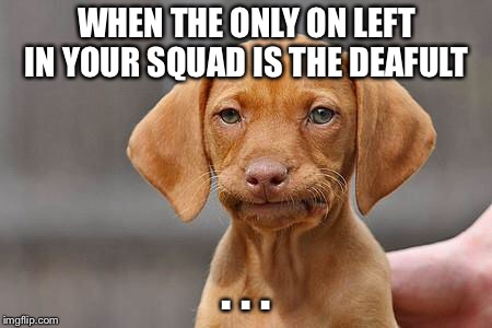 Dissapointed puppy | WHEN THE ONLY ON LEFT IN YOUR SQUAD IS THE DEAFULT; . . . | image tagged in dissapointed puppy | made w/ Imgflip meme maker