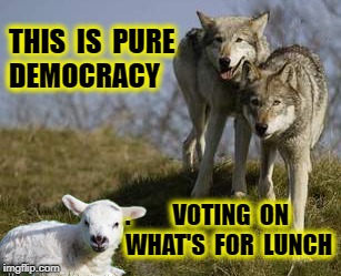 We have a republic, not a pure democracy | THIS  IS  PURE     DEMOCRACY; .         VOTING  ON         WHAT'S  FOR  LUNCH | image tagged in democracy,presidential election,elections,election 2016 | made w/ Imgflip meme maker