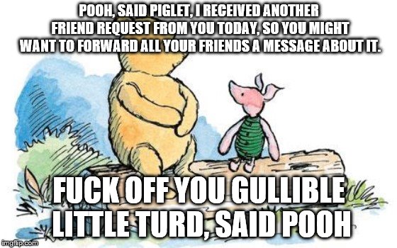 winnie the pooh and piglet | POOH, SAID PIGLET, I RECEIVED ANOTHER FRIEND REQUEST FROM YOU TODAY, SO YOU MIGHT WANT TO FORWARD ALL YOUR FRIENDS A MESSAGE ABOUT IT. FUCK OFF YOU GULLIBLE LITTLE TURD, SAID POOH | image tagged in winnie the pooh and piglet | made w/ Imgflip meme maker