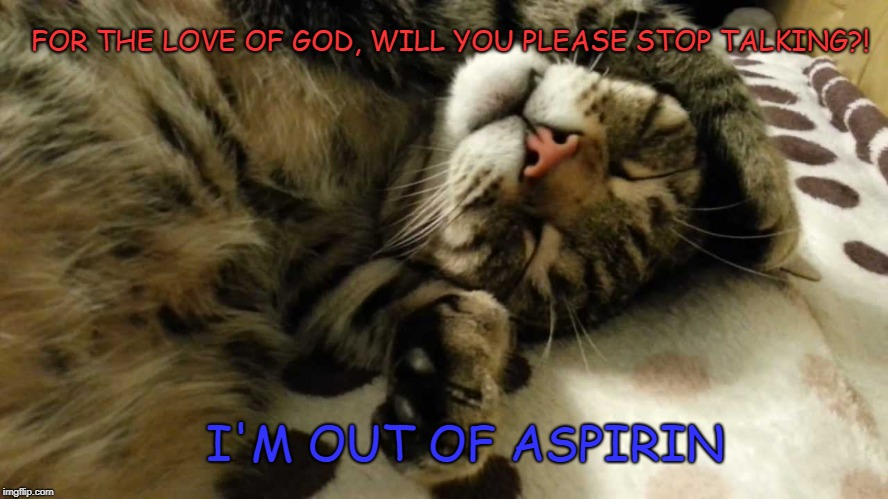 Migraines | FOR THE LOVE OF GOD, WILL YOU PLEASE STOP TALKING?! I'M OUT OF ASPIRIN | image tagged in cat,headache | made w/ Imgflip meme maker
