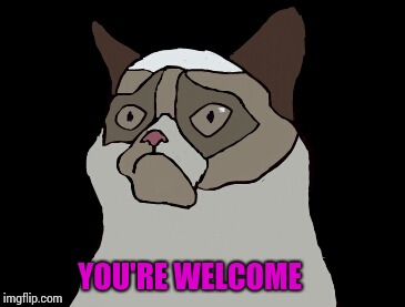 Cartoon grumpy cat | YOU'RE WELCOME | image tagged in cartoon grumpy cat | made w/ Imgflip meme maker