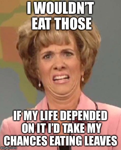 yuck | I WOULDN’T EAT THOSE IF MY LIFE DEPENDED ON IT I’D TAKE MY CHANCES EATING LEAVES | image tagged in yuck | made w/ Imgflip meme maker