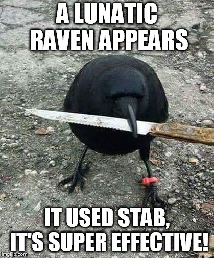hood bird | A LUNATIC RAVEN APPEARS; IT USED STAB, IT'S SUPER EFFECTIVE! | image tagged in hood bird | made w/ Imgflip meme maker
