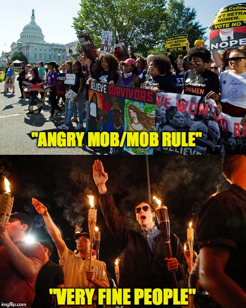 The world according to Trump | "ANGRY MOB/MOB RULE"; "VERY FINE PEOPLE" | image tagged in donald trump,brett kavanaugh,nazi,alt right,charlottesville | made w/ Imgflip meme maker