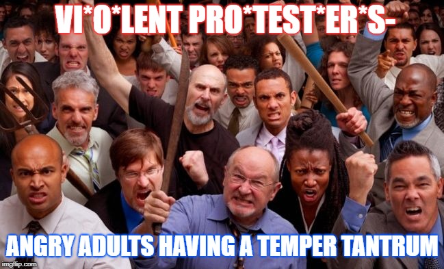 I want it that way!              | VI*O*LENT PRO*TEST*ER*S-; ANGRY ADULTS HAVING A TEMPER TANTRUM | image tagged in angry people,protesters,politics,reality,temper,liberal vs conservative | made w/ Imgflip meme maker