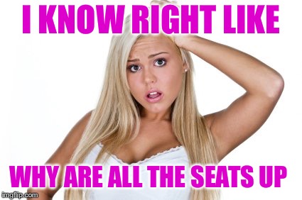 Dumb Blonde | I KNOW RIGHT LIKE WHY ARE ALL THE SEATS UP | image tagged in dumb blonde | made w/ Imgflip meme maker