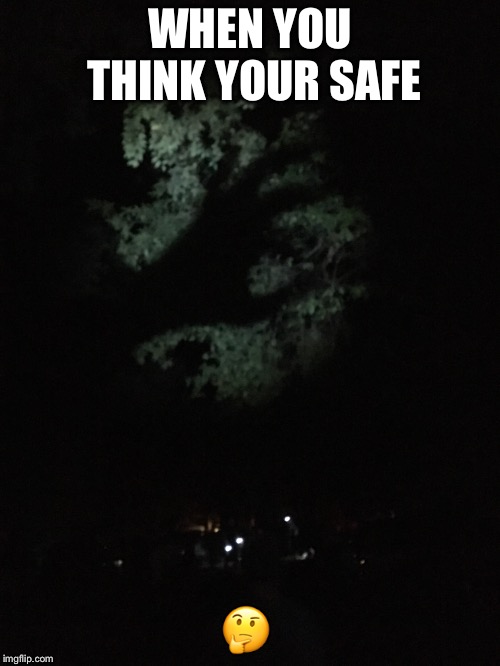 HA GOTEM | WHEN YOU THINK YOUR SAFE; 🤔 | image tagged in circle punch game,camping,woods | made w/ Imgflip meme maker