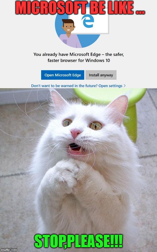 Microsoft does not want you to install Chrome... |  MICROSOFT BE LIKE ... STOP,PLEASE!!! | image tagged in funny,begging cat,imgflip,memes | made w/ Imgflip meme maker
