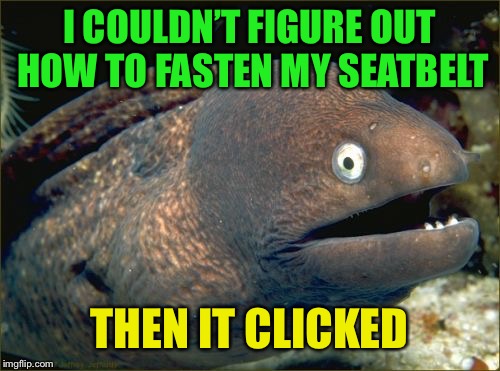 Bad Pun week, a One_Girl_Band event from Oct. 3-10. I find this event very punny! | I COULDN’T FIGURE OUT HOW TO FASTEN MY SEATBELT; THEN IT CLICKED | image tagged in memes,bad joke eel,bad pun week | made w/ Imgflip meme maker