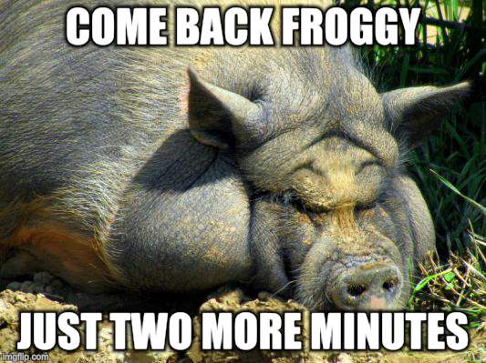 COME BACK FROGGY JUST TWO MORE MINUTES | made w/ Imgflip meme maker