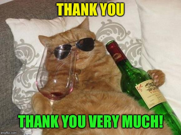 THANK YOU THANK YOU VERY MUCH! | made w/ Imgflip meme maker