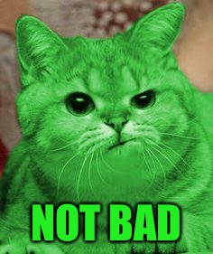 RayCat Annoyed | NOT BAD | image tagged in raycat annoyed | made w/ Imgflip meme maker
