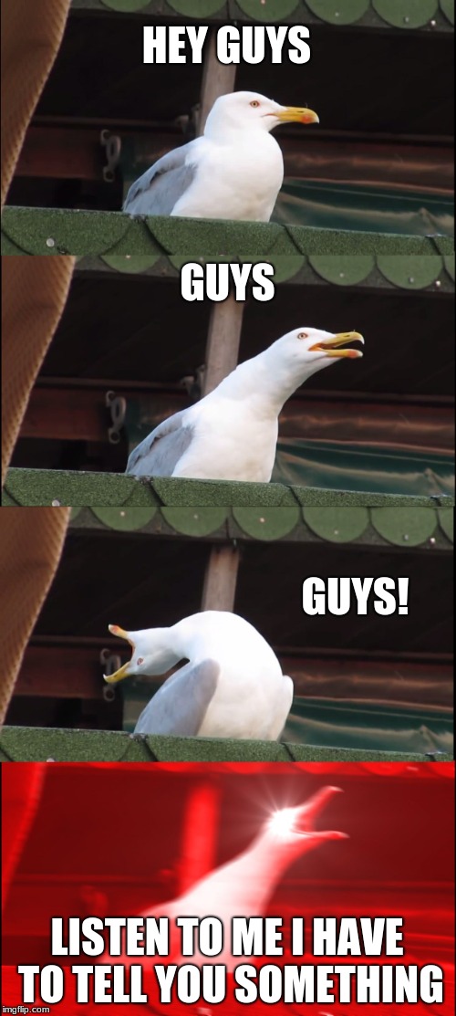 Inhaling Seagull | HEY GUYS; GUYS; GUYS! LISTEN TO ME I HAVE TO TELL YOU SOMETHING | image tagged in memes,inhaling seagull | made w/ Imgflip meme maker