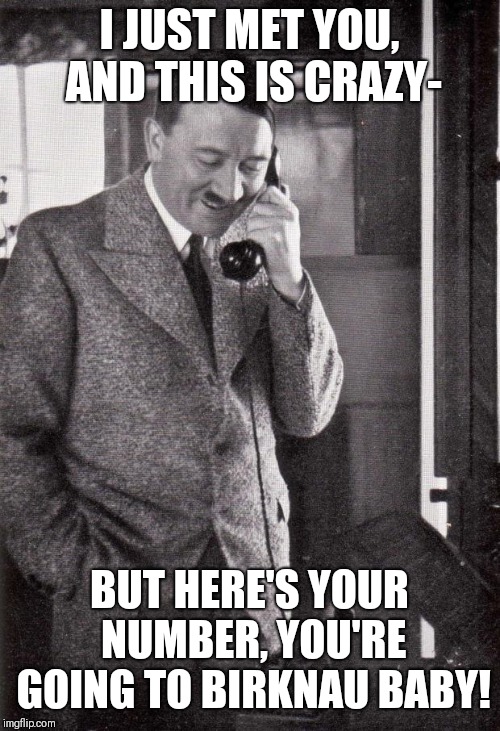 hitler | I JUST MET YOU, AND THIS IS CRAZY-; BUT HERE'S YOUR NUMBER, YOU'RE GOING TO BIRKNAU BABY! | image tagged in hitler | made w/ Imgflip meme maker