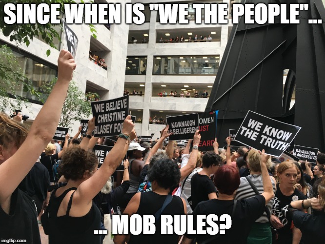 we the people | SINCE WHEN IS "WE THE PEOPLE"... ... MOB RULES? | image tagged in we the people | made w/ Imgflip meme maker