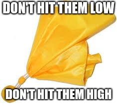 Eagles penalty flag meme | DON'T HIT THEM LOW; DON'T HIT THEM HIGH | image tagged in philadelphia eagles,penalty,flag,funny,meme,memes | made w/ Imgflip meme maker