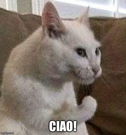 italian cat | CIAO! | image tagged in italian cat | made w/ Imgflip meme maker
