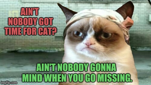 Grumpy Cat Weekend - A Craziness_all_the_way and Socrates event | AIN'T NOBODY GOT TIME FOR CAT? AIN'T NOBODY GONNA MIND WHEN YOU GO MISSING. | image tagged in meme,grumpy cat weekend,aint nobody got time for that,socrates,craziness_all_the_way | made w/ Imgflip meme maker