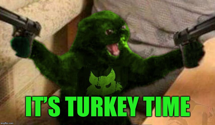 RayCat Angry | IT’S TURKEY TIME | image tagged in raycat angry | made w/ Imgflip meme maker